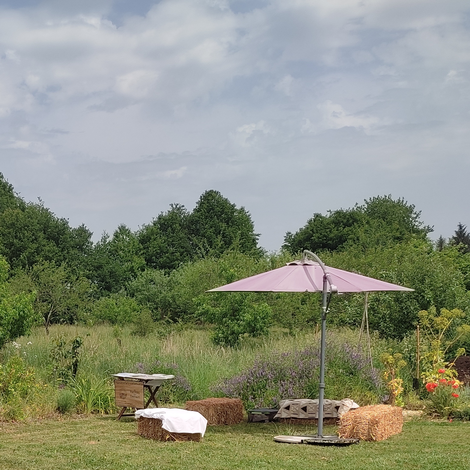 Parlons d’arbres chez Gitta /IMG_20220523_083535.jpg