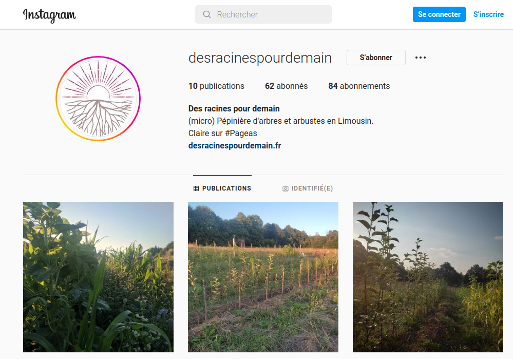 Accueil page instagram /Sélection_1038.png