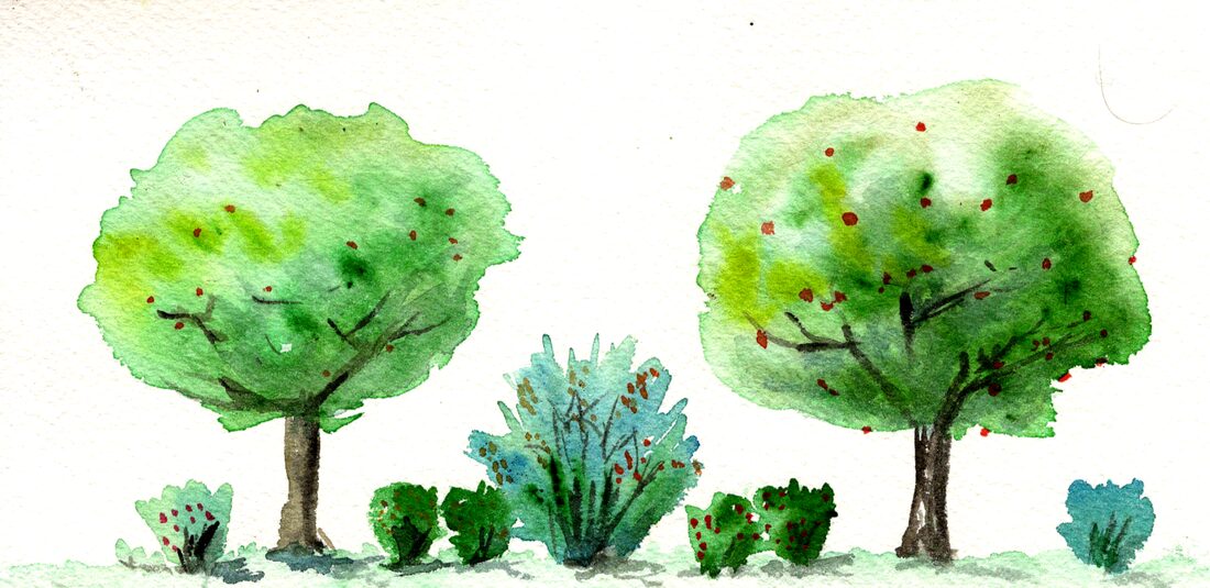 Aquarelle d’une haie : deux grands arbres, un arbuste au milieu et de petites plantes dans les interstices