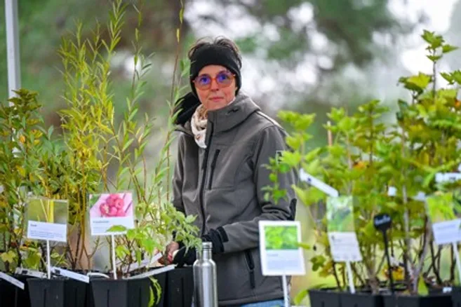 Moi, derrière mon stand de jeunes arbres et arbustes en pot, au marché aux plantes de Limoges